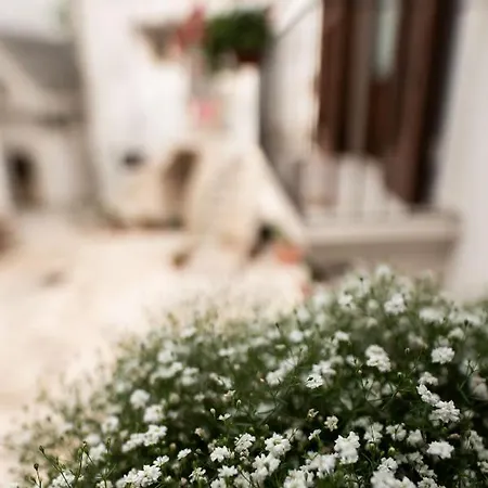 La Gnostretta Дом отдыха