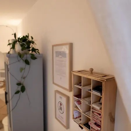 La Gnostretta ノーチ